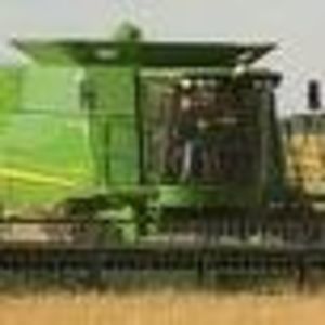 Meet your Posher, Rodney